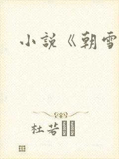 小说《朝雪录》