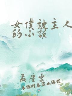 女仆被主人调教的小说