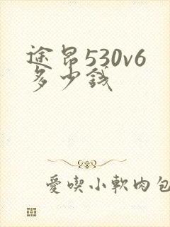 途昂530v6多少钱