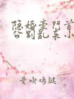 隐婚豪门首席老公别乱来小说