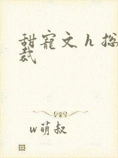 甜宠文 h 总裁