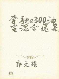 奔驰e300油电混合还是e300l