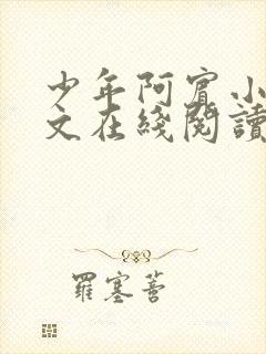 少年阿宾小说全文在线阅读