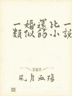 一婚还比一婚高类似的小说