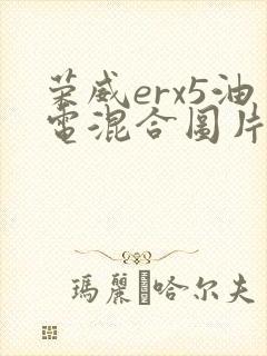 荣威erx5油电混合图片