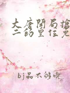 大唐开局抢了李二的皇位免费