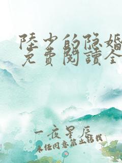 陆少的隐婚罪妻免费阅读全
