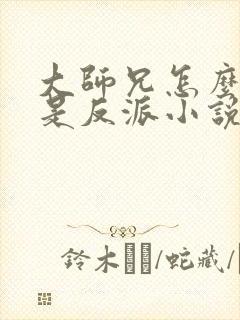 大师兄怎么可能是反派小说