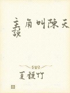 主角叫陈天的小说