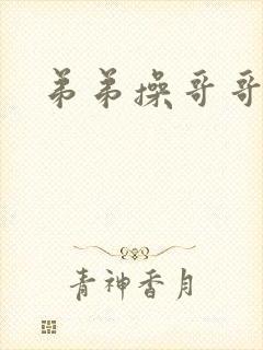 弟弟操哥哥屁眼