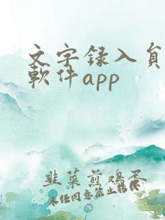 文字录入员赚钱软件app