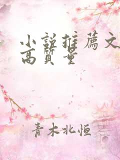 小说推荐文笔好高质量