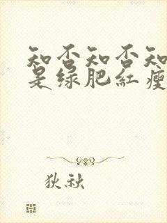 知否知否知否应是绿肥红瘦原著叫什么