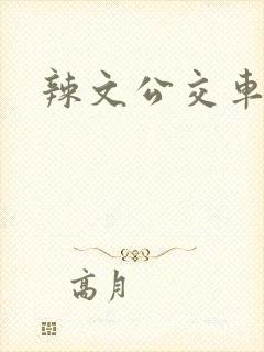 辣文公交车合集