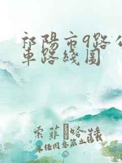 祁阳市9路公交车路线图