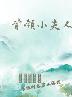 首领小夫人