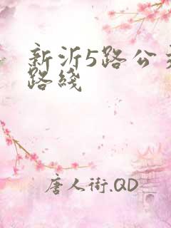 新沂5路公交车路线