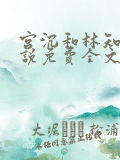 宫沉和林知意小说免费全文 宫沉和林知意小说免费全文