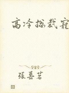 高冷总裁宠甜妻