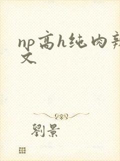 np高h纯肉辣文
