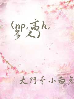 (np,高h,多人)