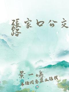 张家口公交19路