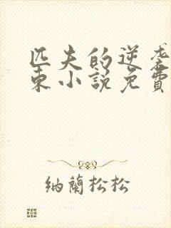 匹夫的逆袭刘汉东小说免费阅读