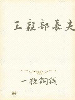 王毅部长夫人