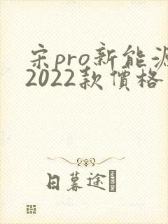 宋pro新能源2022款价格