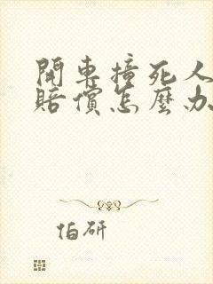 开车撞死人没钱赔偿怎么办