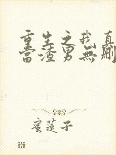 重生之我真没想当渣男无删减