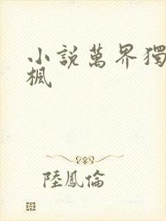小说万界独尊林枫