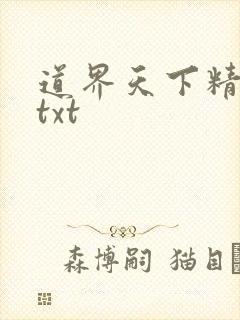 道界天下精校版txt