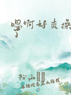 嗯啊好爽操死我了