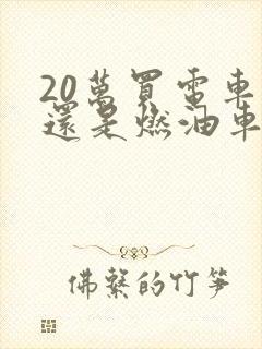 20万买电车好还是燃油车好