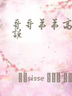 哥哥弟弟高h小说