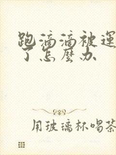 跑滴滴被运管抓了怎么办 跑滴滴被运管抓了怎么办