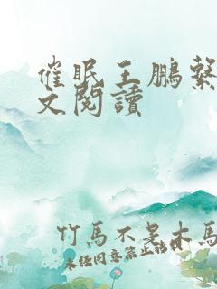 催眠王鹏系列全文阅读