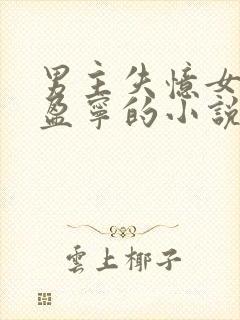男主失忆女主沈盈宁的小说