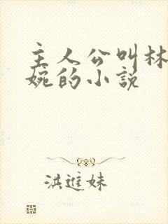 主人公叫林北苏婉的小说