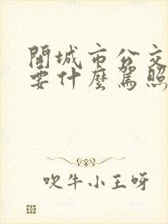 开城市公交车需要什么驾照