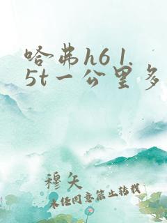 哈弗h6 1.5t一公里多少钱
