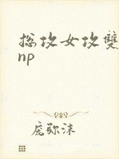 总攻女攻双性受np