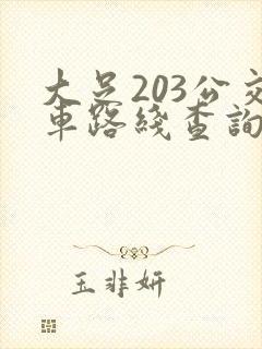 大足203公交车路线查询