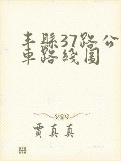 丰县37路公交车路线图