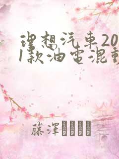 理想汽车2021款油电混动七座