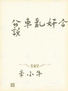 公车乱奸合集小说