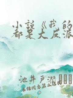 小说《我的徒弟都是大反派》 小说《我的徒弟都是大反派》