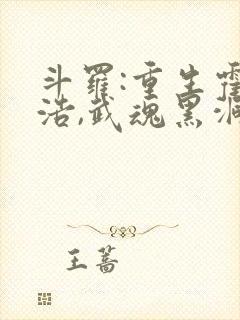 斗罗:重生霍雨浩,武魂黑洞小说
