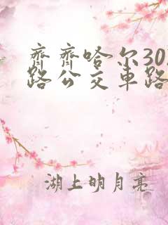 齐齐哈尔302路公交车路线时间表